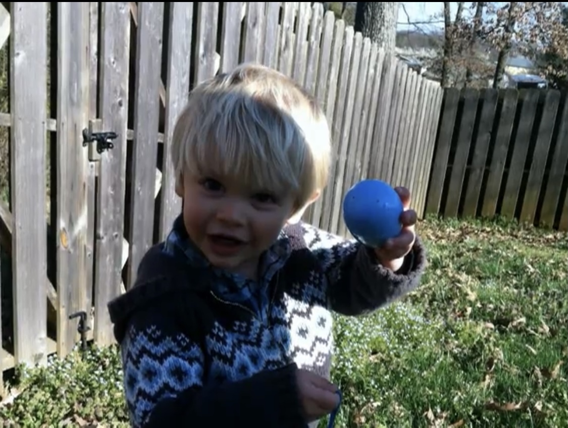 Weekend Events in Your Favorite Neighborhood (Palm Harbor, Tarpon Springs, Dunedin, and Safety Harbor)