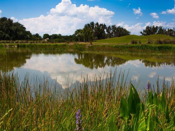 Verandah private golf community in Fort Myers Florida
