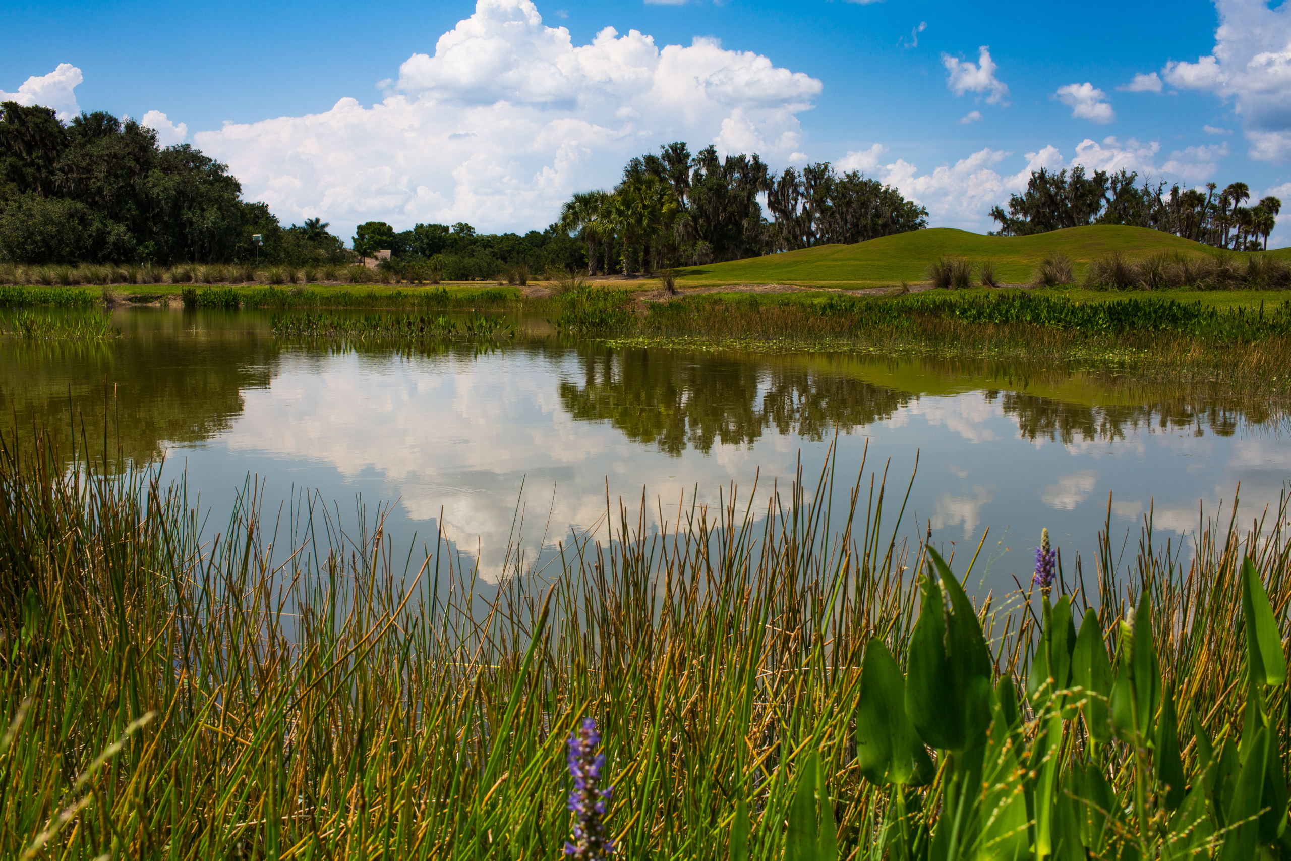 Verandah private golf community in Fort Myers Florida