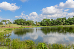 Verandah Golf Community